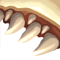 Ząb Krokodyla