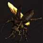 beetle_flayer.png