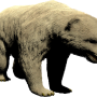 mob_level_49_polar-bear.png