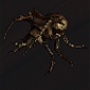 beetle_crawler.png