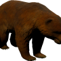 mob_level_18_brown-bear.png