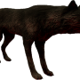 mob_level_29_black-warg.png