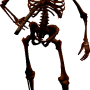 mob_level_45_skeleton.png